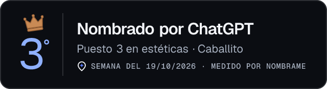 Nombrado por ChatGPT · Puesto 3 en estéticas de Caballito · Medido por Nombrame