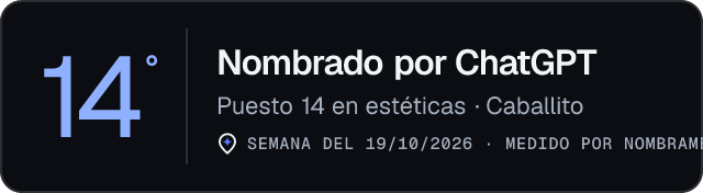 Nombrado por ChatGPT · Puesto 14 en estéticas de Caballito · Medido por Nombrame