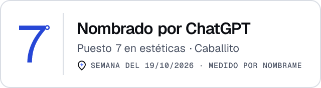 Nombrado por ChatGPT · Puesto 7 en estéticas de Caballito · Medido por Nombrame