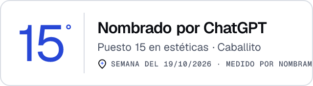 Nombrado por ChatGPT · Puesto 15 en estéticas de Caballito · Medido por Nombrame