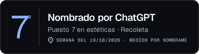 Nombrado por ChatGPT · Puesto 7 en estéticas de Recoleta · Medido por Nombrame
